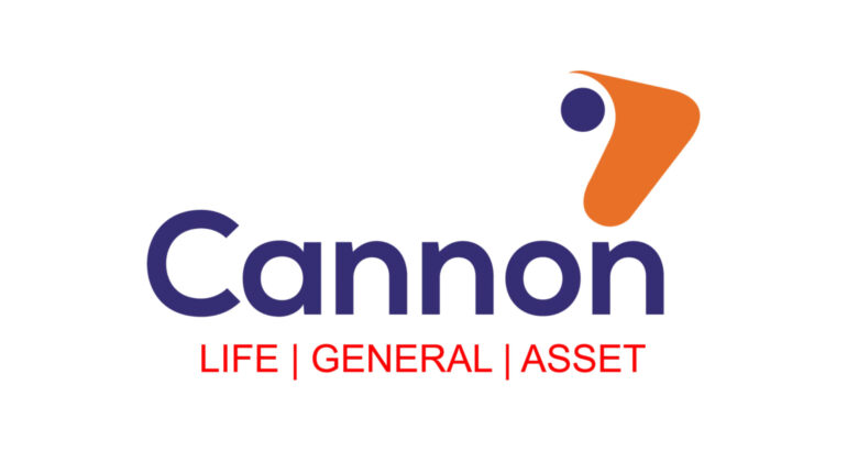 New Appointments To The Boards Of Directors Cannon Group